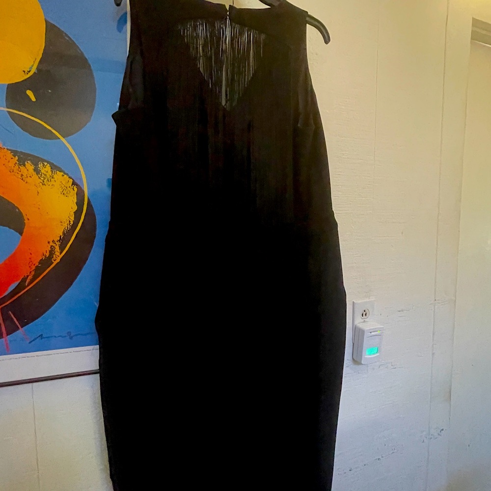 Rachel Roy Black fringed jumpsuit. Wide legs, V neck fringe on back. Size 16w.